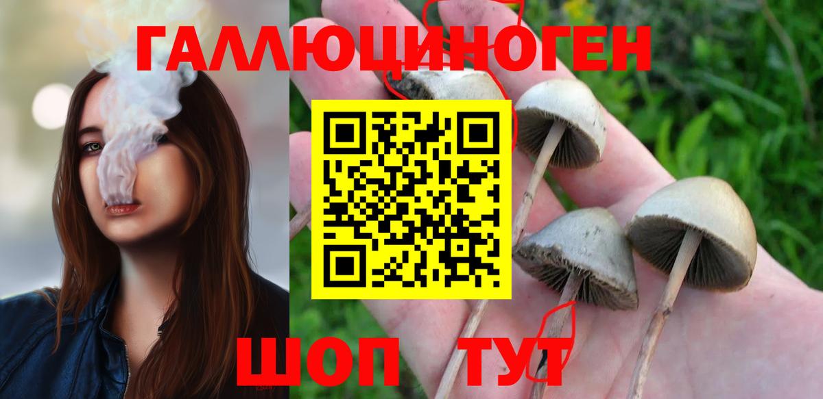Протвино  Галлюциногенные грибы Psilocybine cubensis  Вход с VPN 