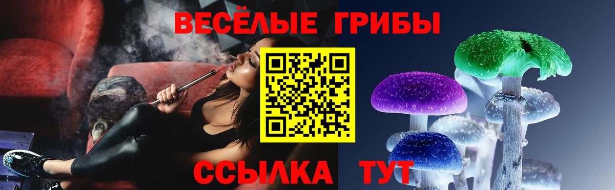 Галлюциногенные грибы GOLDEN TEACHER Протвино
